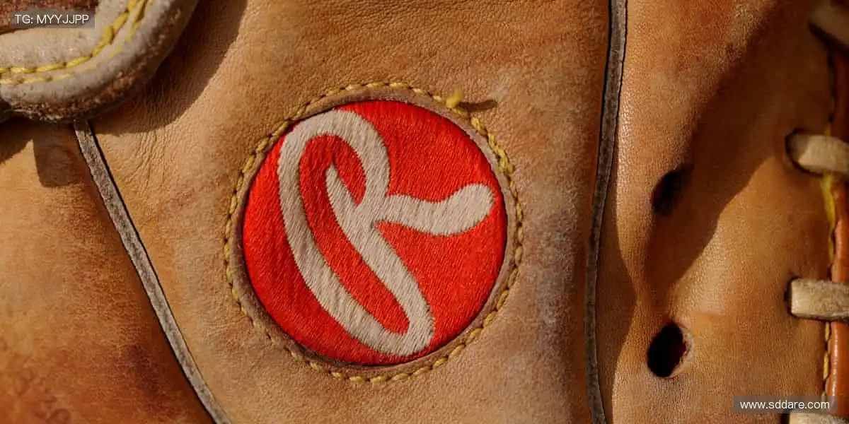 高清画质,畅享赛事!🎥🏒